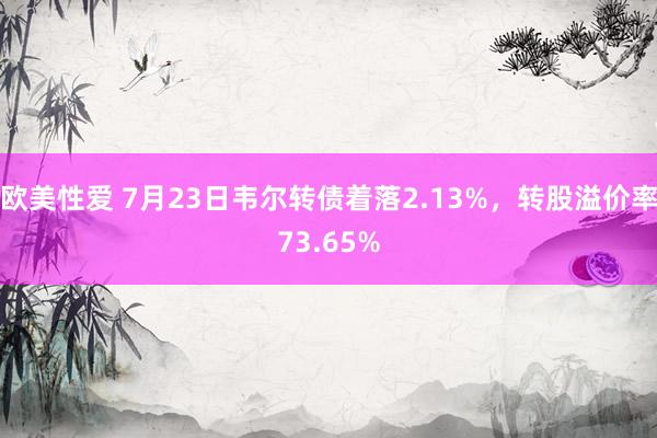   欧美性爱 7月23日韦尔转债着落2.13%，转股溢价率73.65%