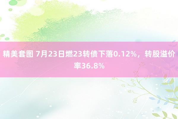   精美套图 7月23日燃23转债下落0.12%，转股溢价率36.8%