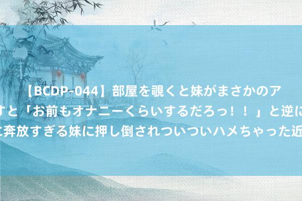   【BCDP-044】部屋を覗くと妹がまさかのアナルオナニー。問いただすと「お前もオナニーくらいするだろっ！！」と逆に襲われたボク…。性に奔放すぎる妹に押し倒されついついハメちゃった近親性交12編 宜章：高温热浪来袭 工会驿站成歇凉宝地