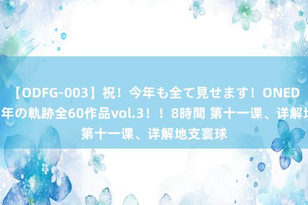   【ODFG-003】祝！今年も全て見せます！ONEDAFULL1年の軌跡全60作品vol.3！！8時間 第十一课、详解地支寰球