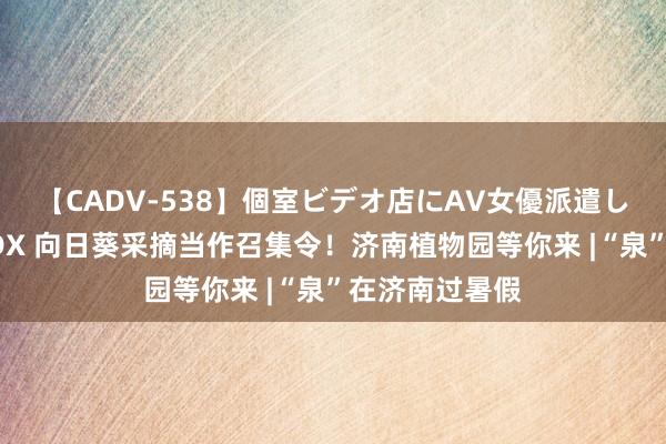   【CADV-538】個室ビデオ店にAV女優派遣します。8時間DX 向日葵采摘当作召集令！济南植物园等你来 |“泉”在济南过暑假