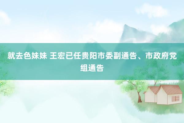   就去色妹妹 王宏已任贵阳市委副通告、市政府党组通告