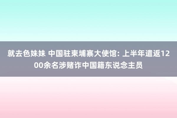   就去色妹妹 中国驻柬埔寨大使馆: 上半年遣返1200余名涉赌诈中国籍东说念主员