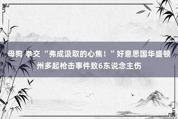   母狗 拳交 “弗成汲取的心焦！”好意思国华盛顿州多起枪击事件致6东说念主伤