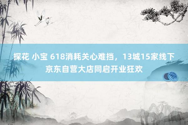 探花 小宝 618消耗关心难挡，13城15家线下京东自营大店同启开业狂欢