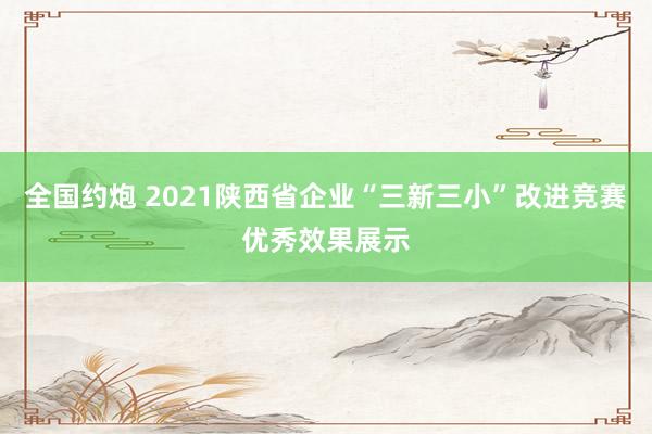   全国约炮 2021陕西省企业“三新三小”改进竞赛优秀效果展示